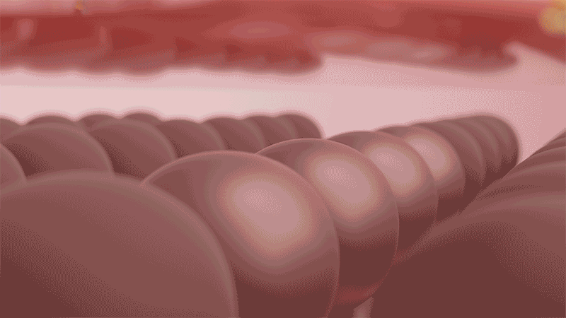 3530640102_WqseQDV1_479a687f867c396ac82c6a43bdc12dfe37c6b088.gif